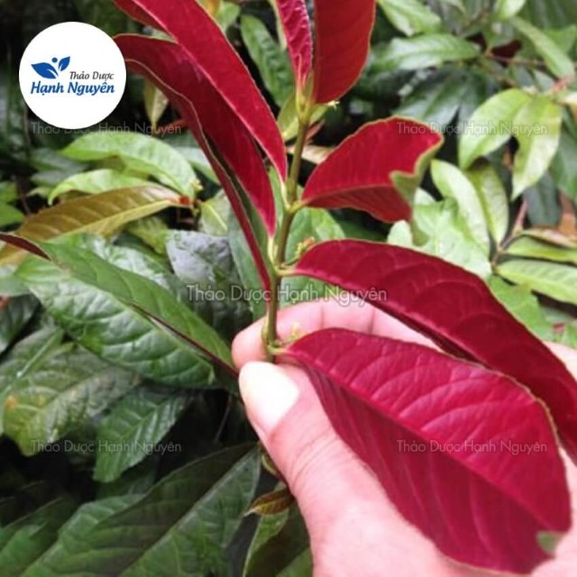 Leaves Black dry peace 1kg