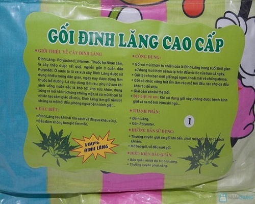 Gối đinh lăng cho bé 0-12 tháng