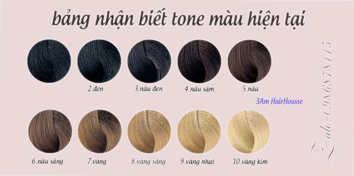 Thuốc Nhuộm Tóc Màu NÂU TRÀ [ tặng kèm trợ Nhuộm và bao tay]