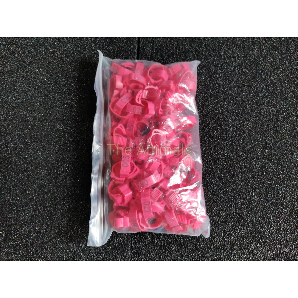 [Bich 100 cái] Vòng đeo chân cho gà, vịt, bồ câu