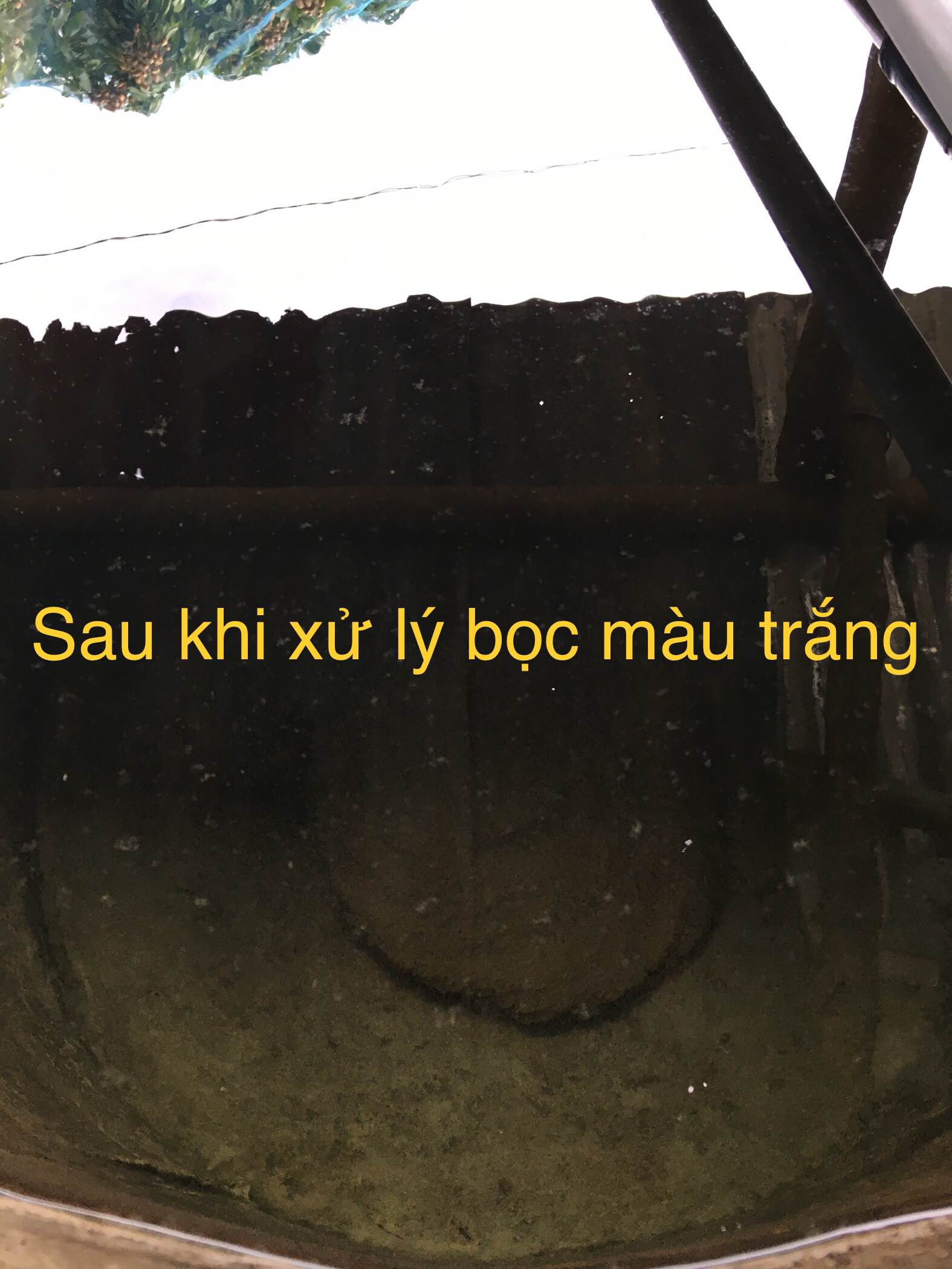 Bột Xử Lý Nước Sông ao, hồ rạch bị nhiễm vi sinh, chất rắn lơ lửng Thanh Mai 14G x 10