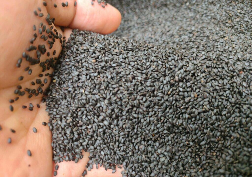 HẠT É SẠCH LOẠI 1 - GÓI 500GR