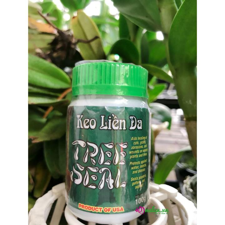 Keo liền da cây, keo liền sẹo mỹ đen 100g