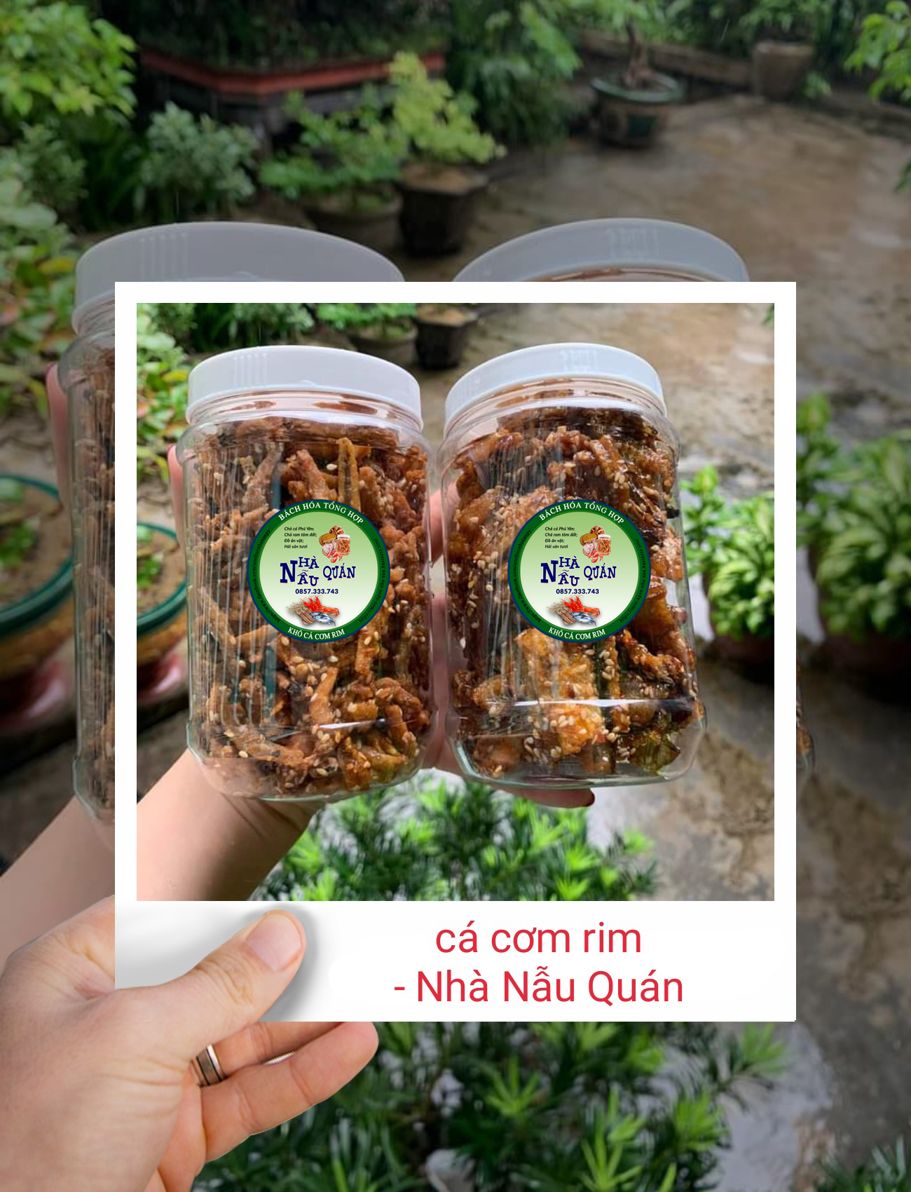 Khô cá cơm tẩm (có mè)