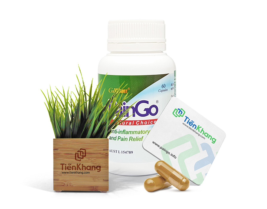Paingo - Giảm đau nhức