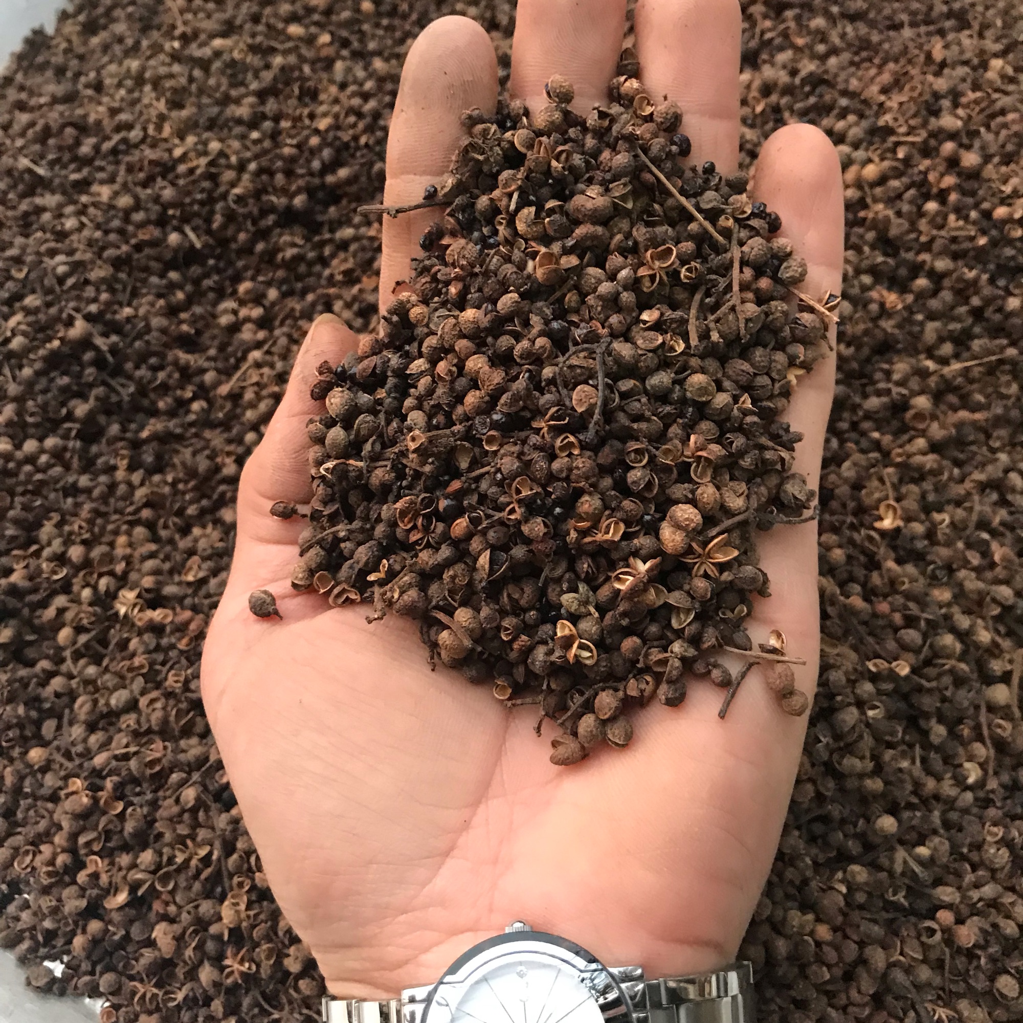 Hạt mắc khén rừng 100g