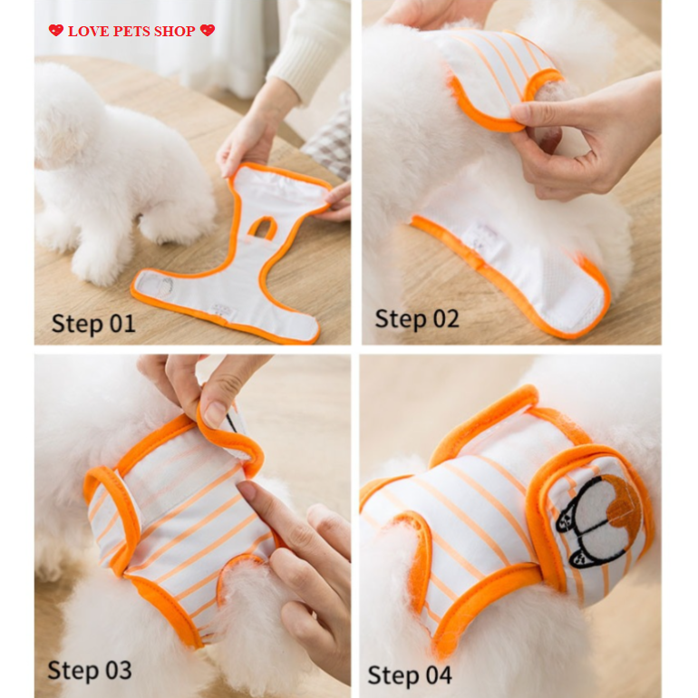 Quần sinh lý cho Chó Mèo Hipidog - Love Pets Shop