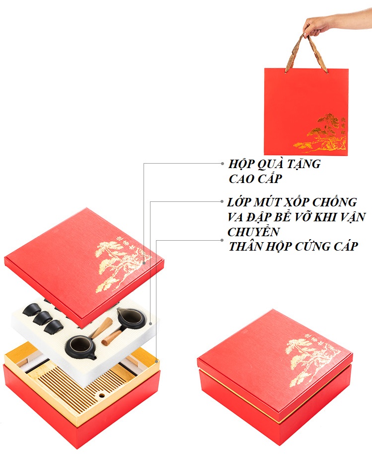 Bộ Ấm Trà Nhật Bản Temuki
