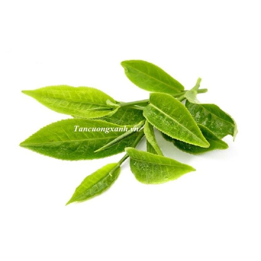1kg Chè vụn sen Tân Cương Xanh