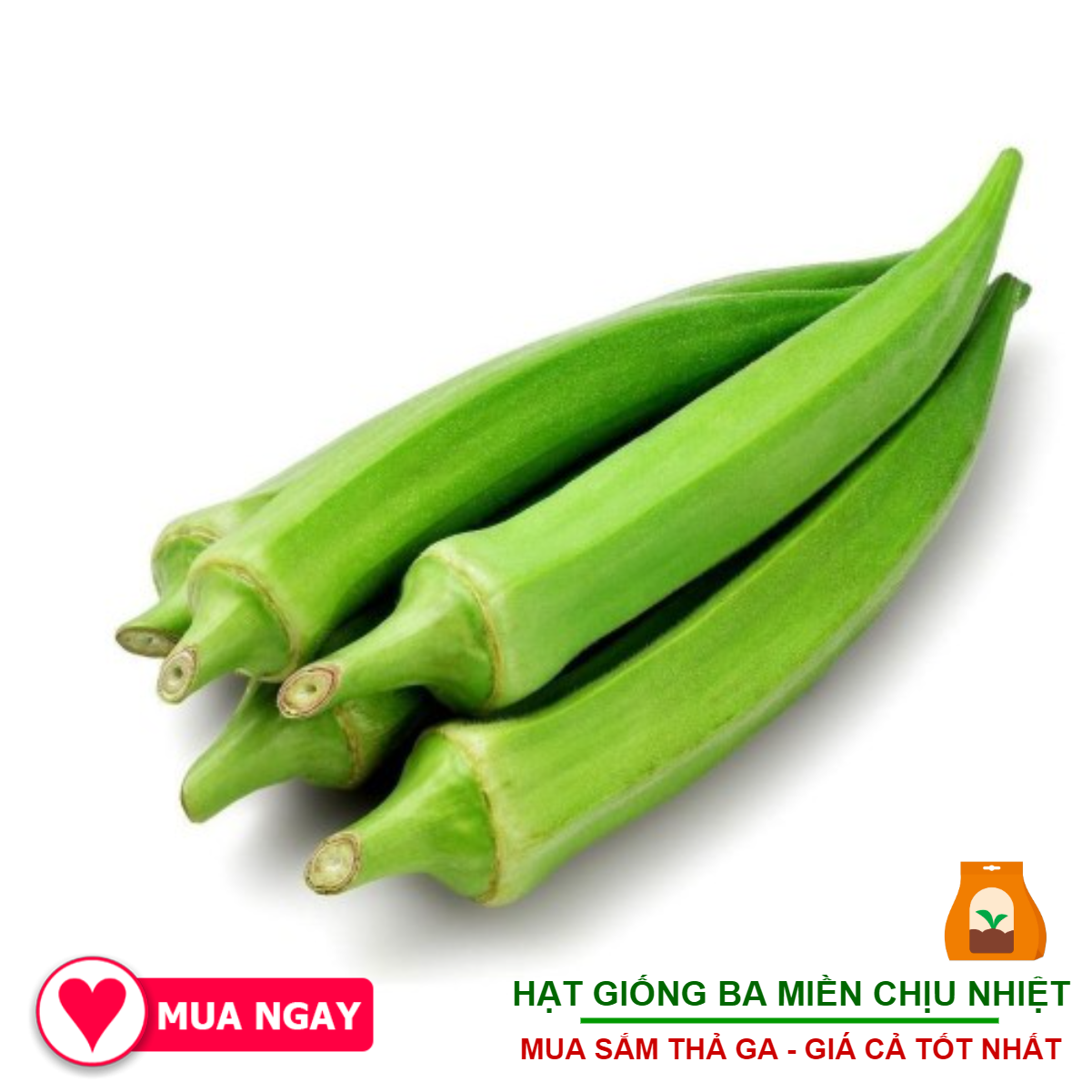 Hạt Giống Đậu Bắp Cao Sản Nam Bộ - 50 Gram