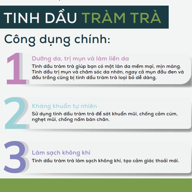 Tinh dầu tràm trà phân đoạn T40 Aotanica 10ml