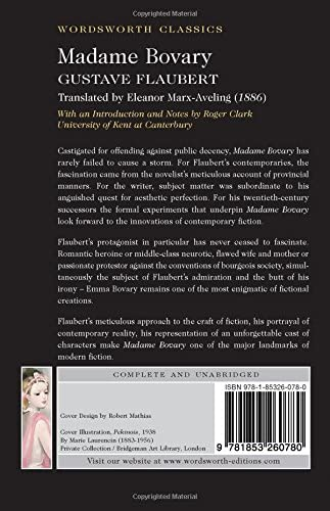 Truyện đọc Tiếng Anh: Madame Bovary