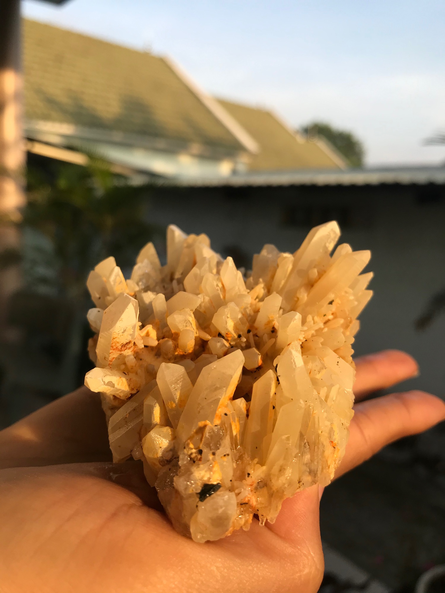 Bụi tinh thể đá Thạch Anh vàng nhím xù