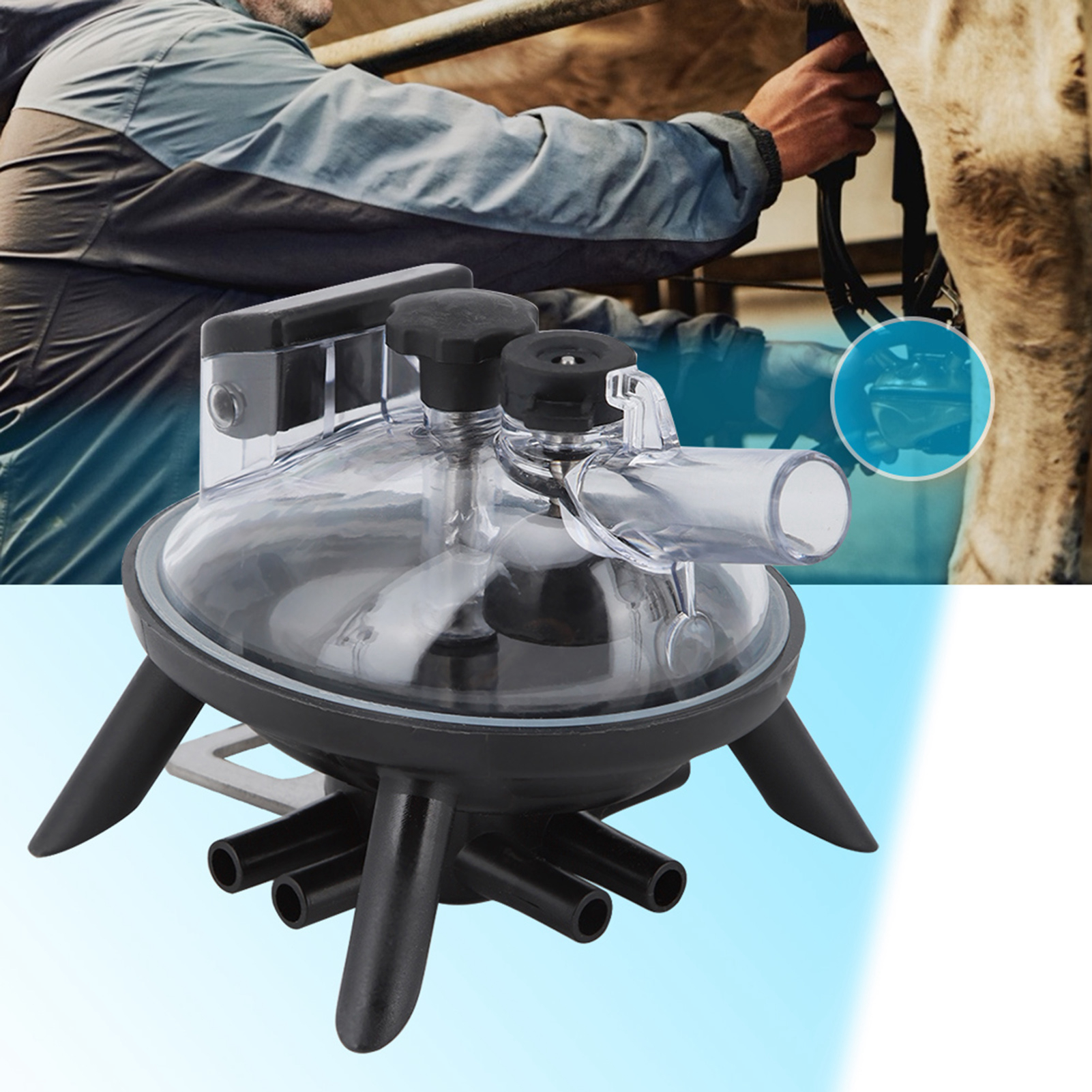 Milking Claw 240ccMáy vắt sữa bò Máy vắt sữa Phụ kiện thay thế công cụ vắt sữa bò Sử dụng vắt sữa Claw Claw dành cho máy vắt sữa bò