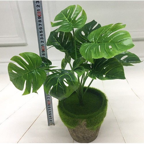 CÂY LÁ RÙA 9 LÁ DECOR PHÒNG ỐC LIZ48