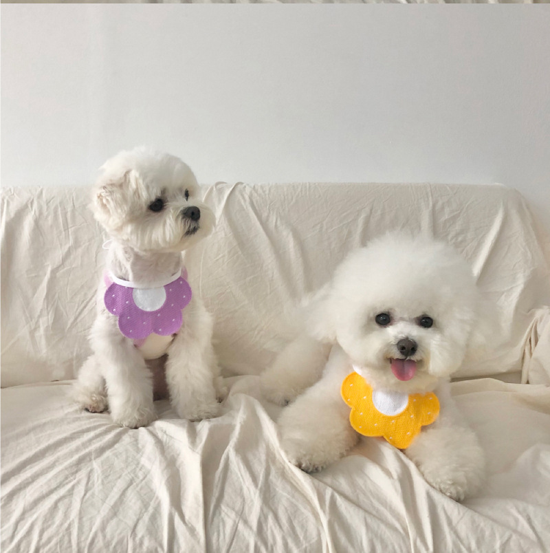 Yếm Đeo Cổ Dễ Thương Cho Chó Mèo