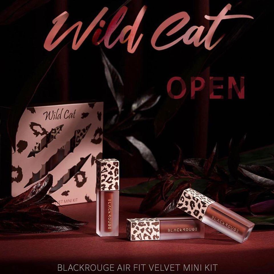 [HCM]SET 3 SON KEM BLACK ROUGE AIR FIT VELVET MINI KIT WILD CAT