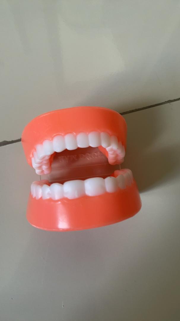 Đồ chơi mô hình hàm răng bằng nhựa an toàn, đồ chơi thông tư 02