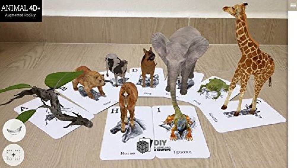 Bộ card 4D động vật trực quan cho bé