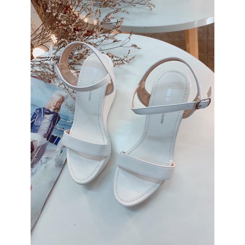 🌿 HÀNG CÓ SẴN🌿 Sangdal đế xuồng 9cm - 12cm