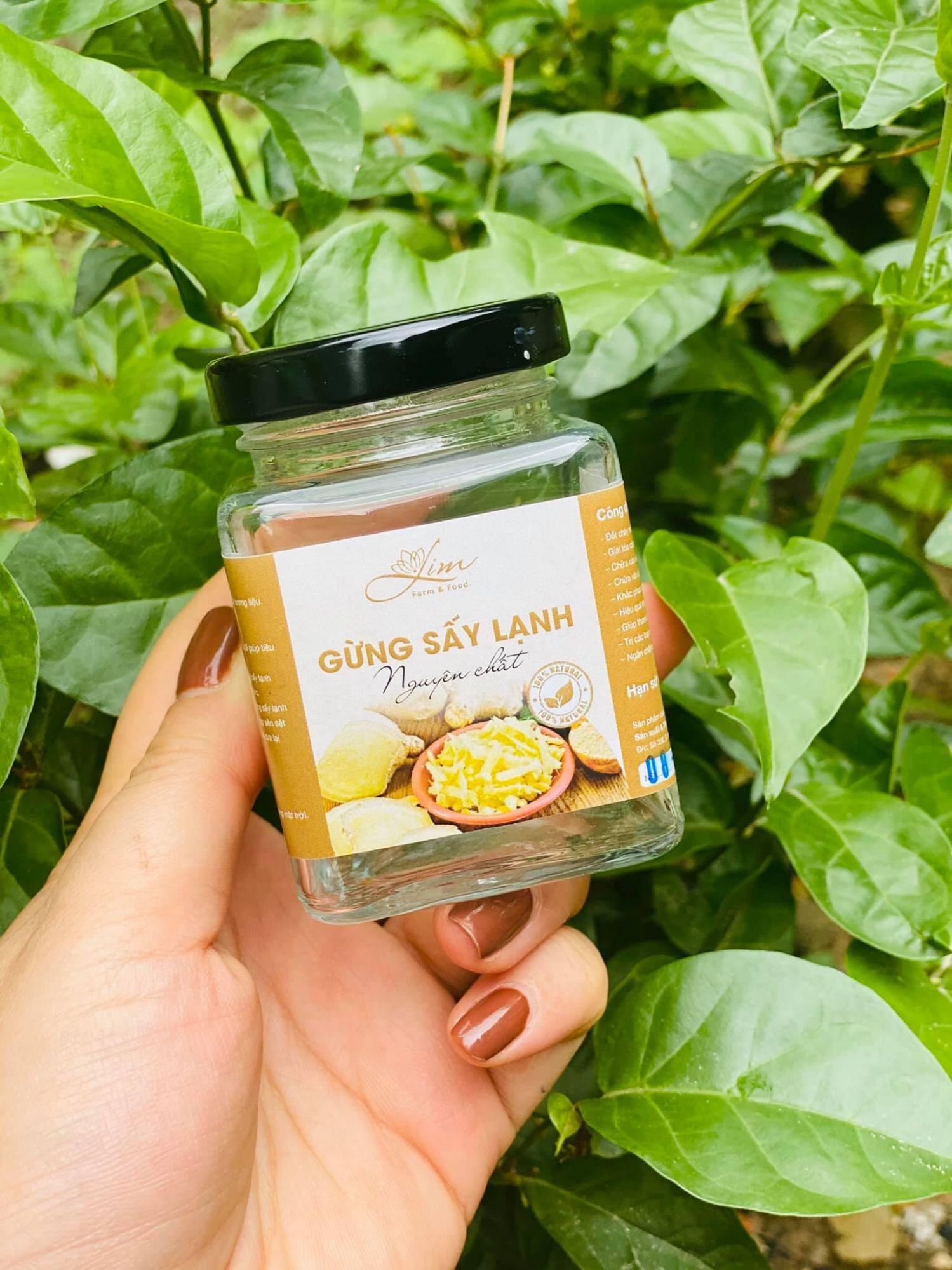 Bột gừng sấy lạnh lọ 150g