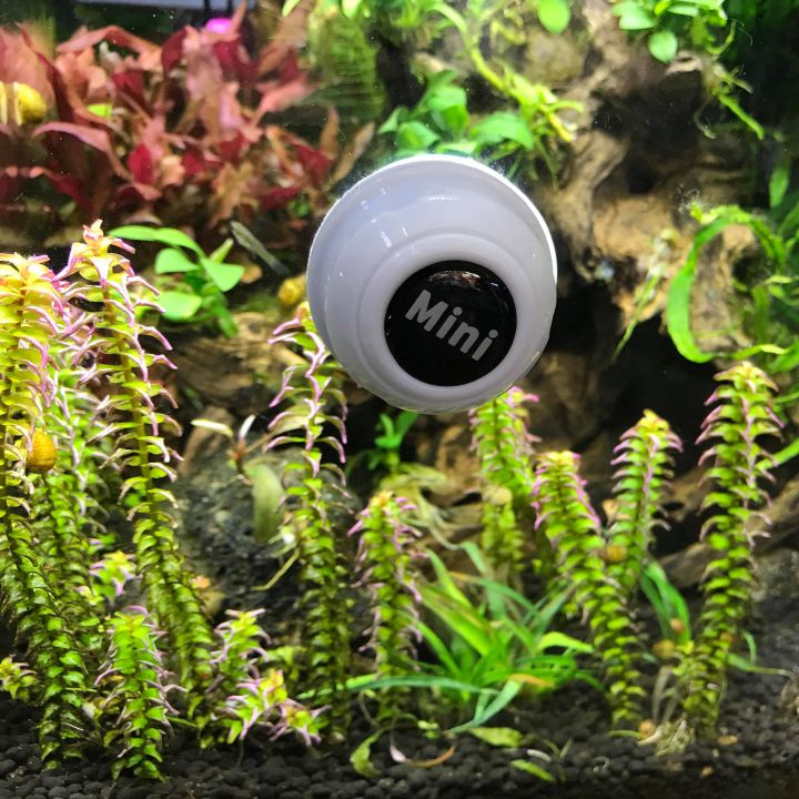Cọ bể nam châm mini