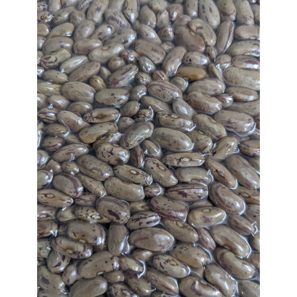 Đậu Cúc Ấn Độ Pinto Beans 1kg [VOVEDACSAN]