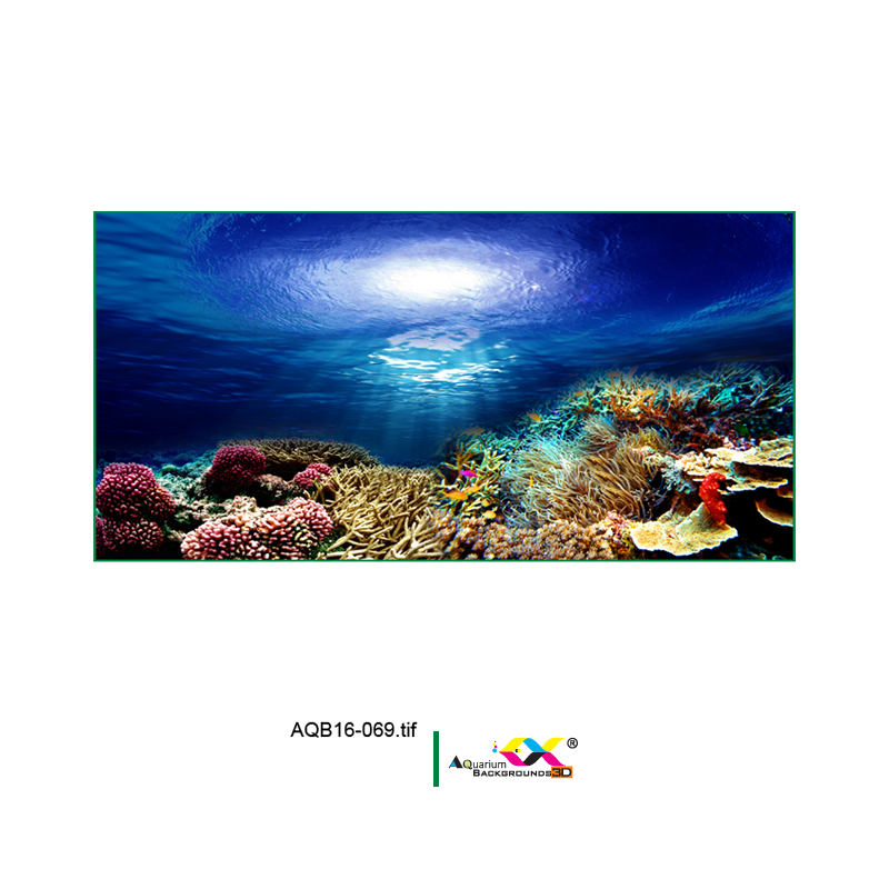 Tranh 3D Koifish, rặng san hô ấn tượng, độc đáo, Aqb16-069