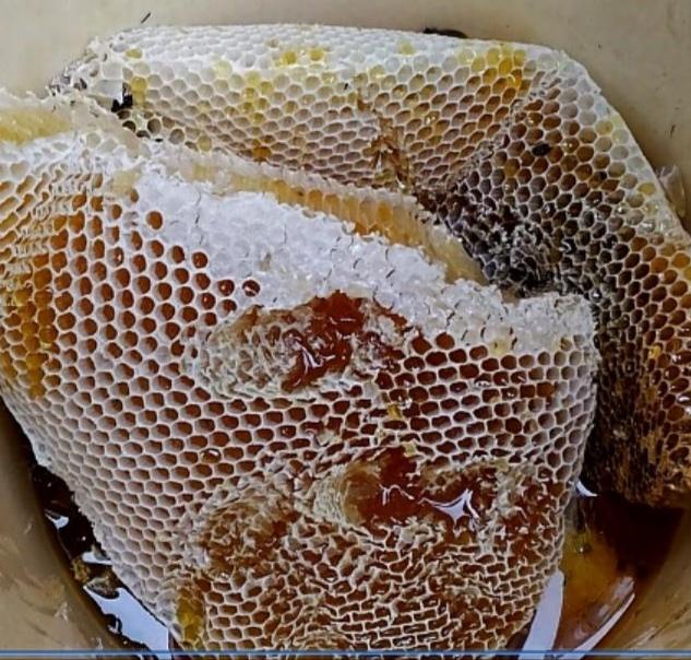 1kg Mật ong nguyên sáp