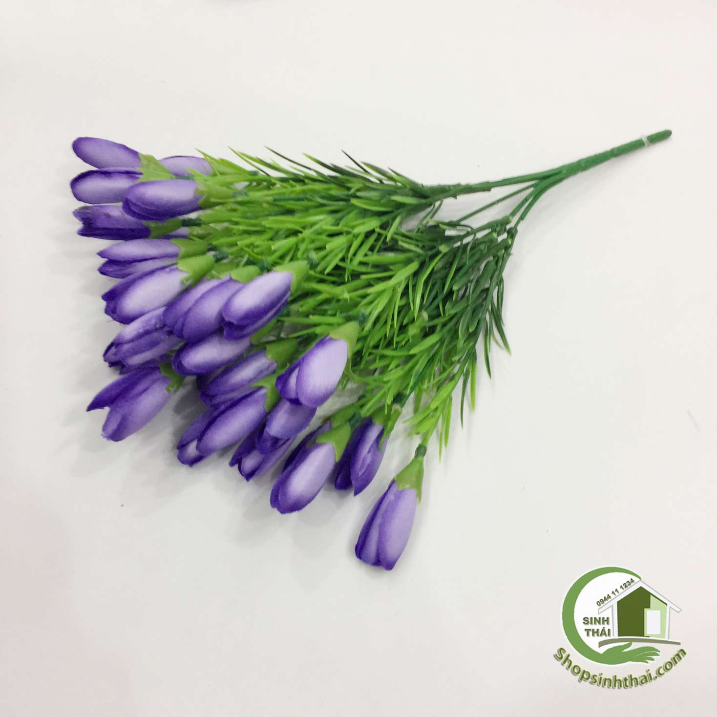 [HCM]Bụi Hoa Tulip Nhí Màu Tím