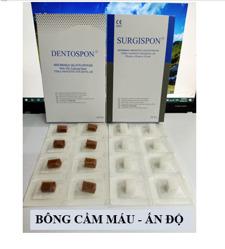 [HCM]Bông cầm máu  Ấn Độ (Hộp) [NÂU/ TRẮNG]