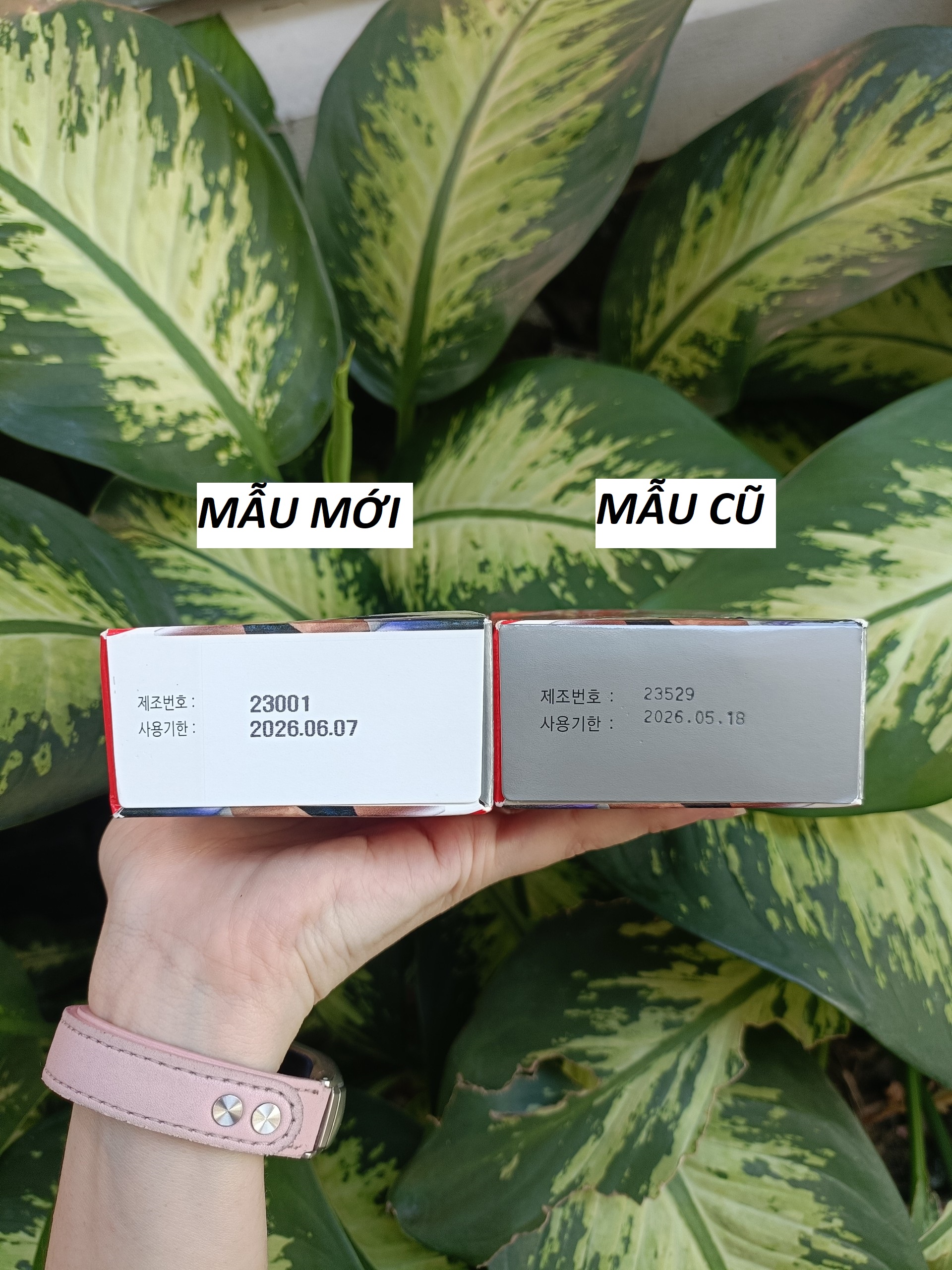 Dầu nóng Hàn Quốc Antiphlamine 100ml mẫu mới