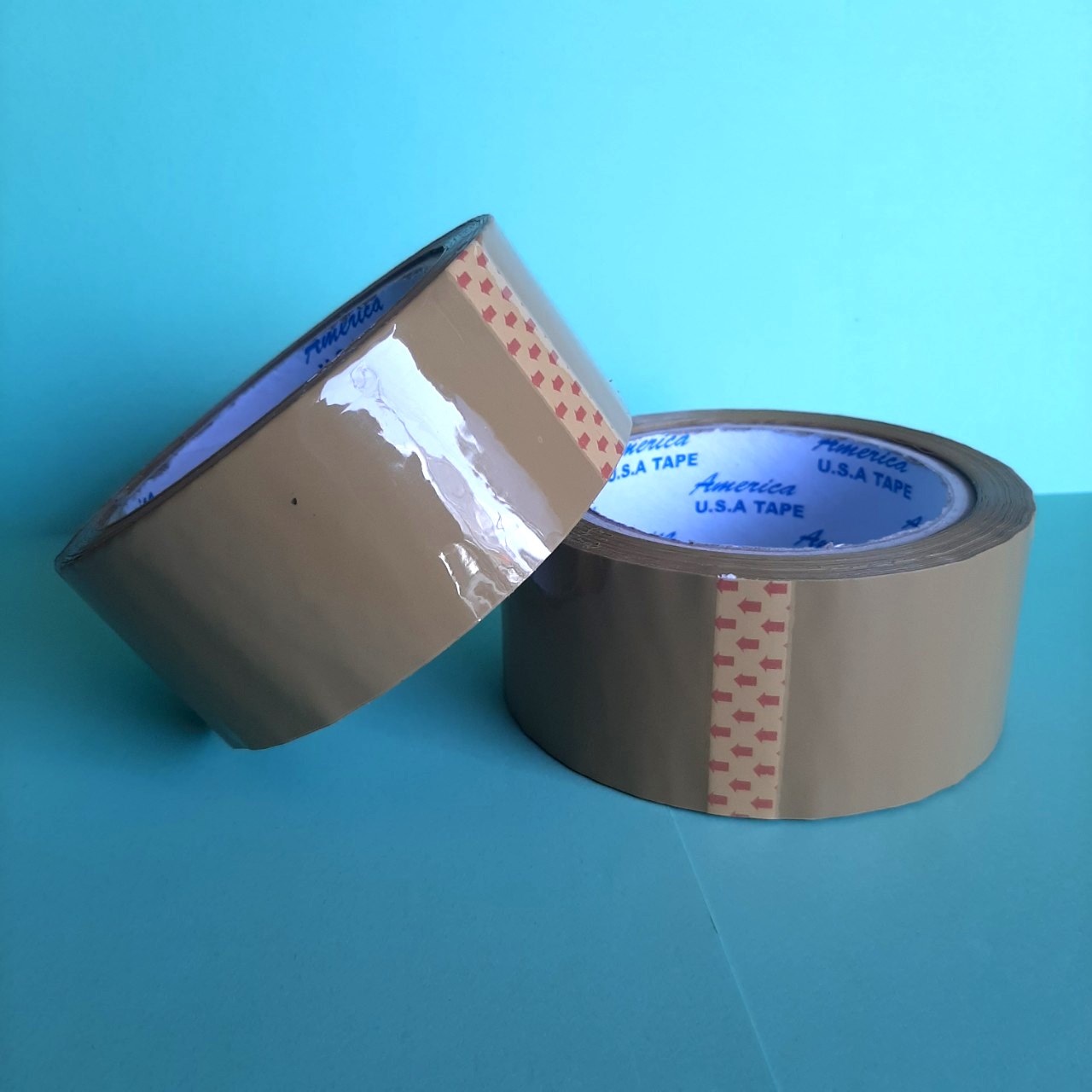 01 Cuộn băng keo 4.8F (loại 1,2kg/cây) trong/đục