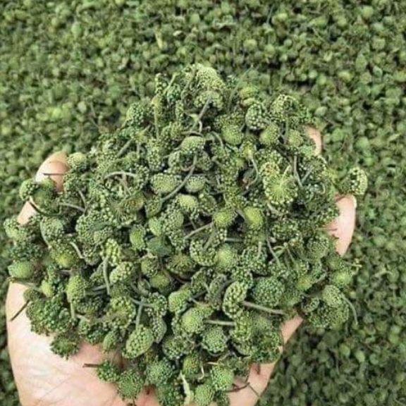 500g nụ hoa tam thất