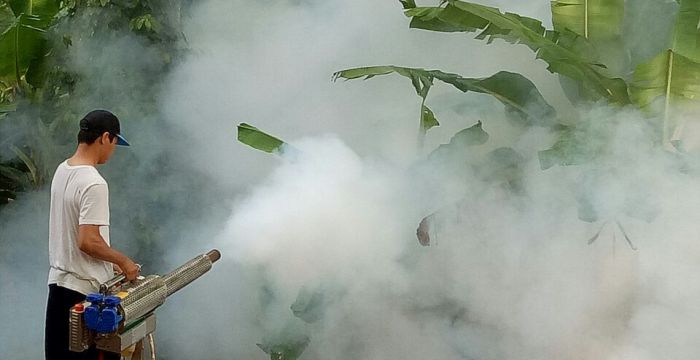 Dầu tạo khói 5 lít, nước khói thơm || Dung Dịch máy khói sân khấu, tiệc cưới. dầu tạo khói cho máy phun khói