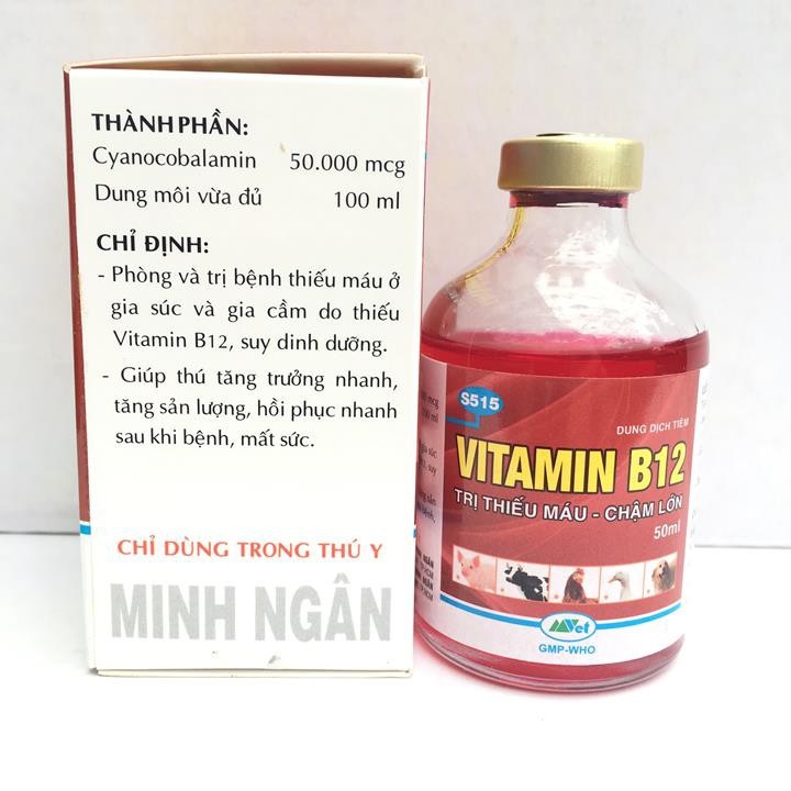 Vitamin B12 - Giải Độc Cho Cây