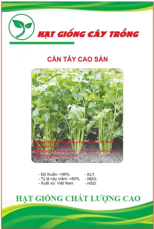 Hạt giống rau cần tây cao sản - Gói 2gram