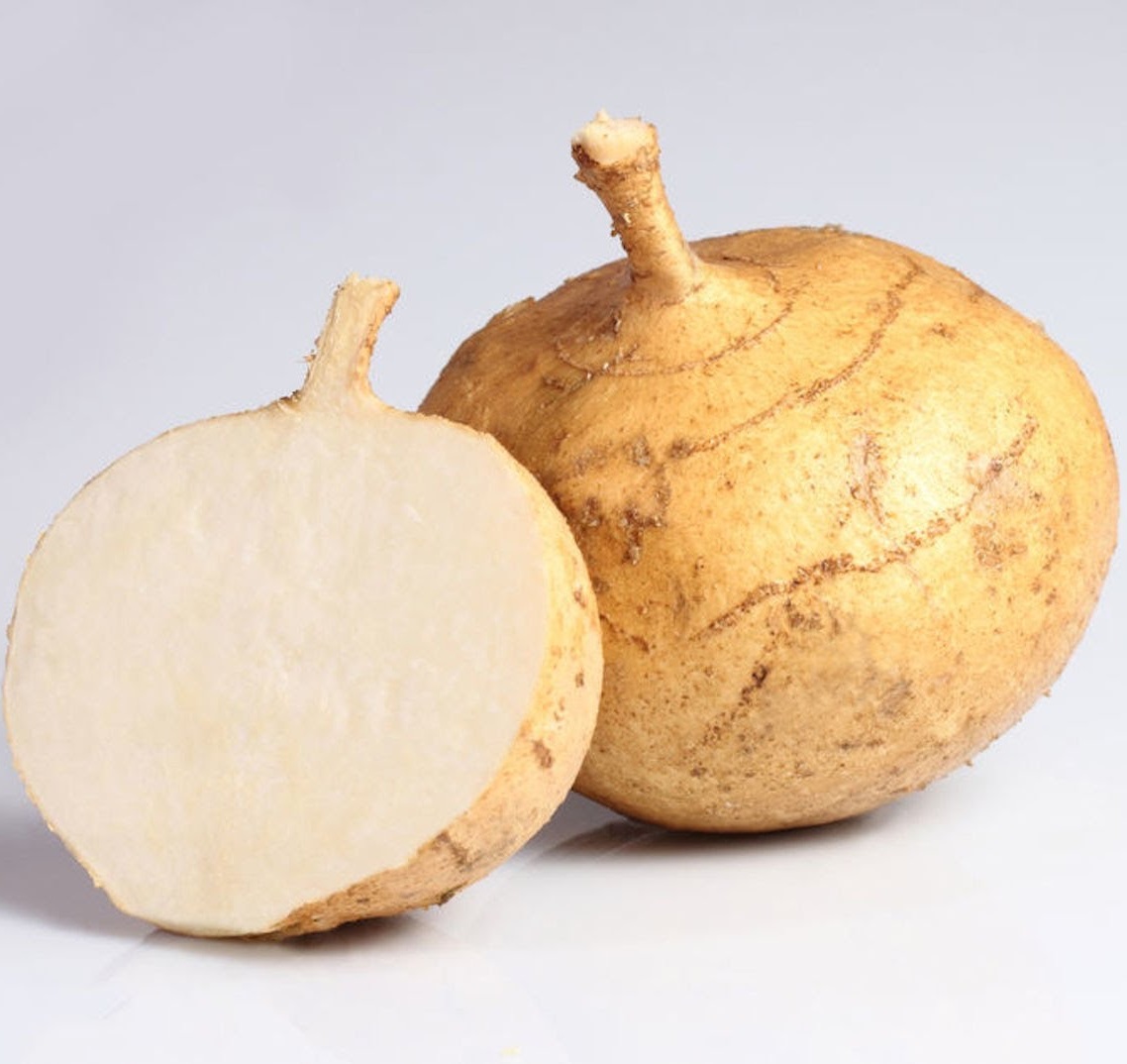 Hạt giống Củ sắn - củ đậu lai F1 VTS100 | Vạn Tín Store