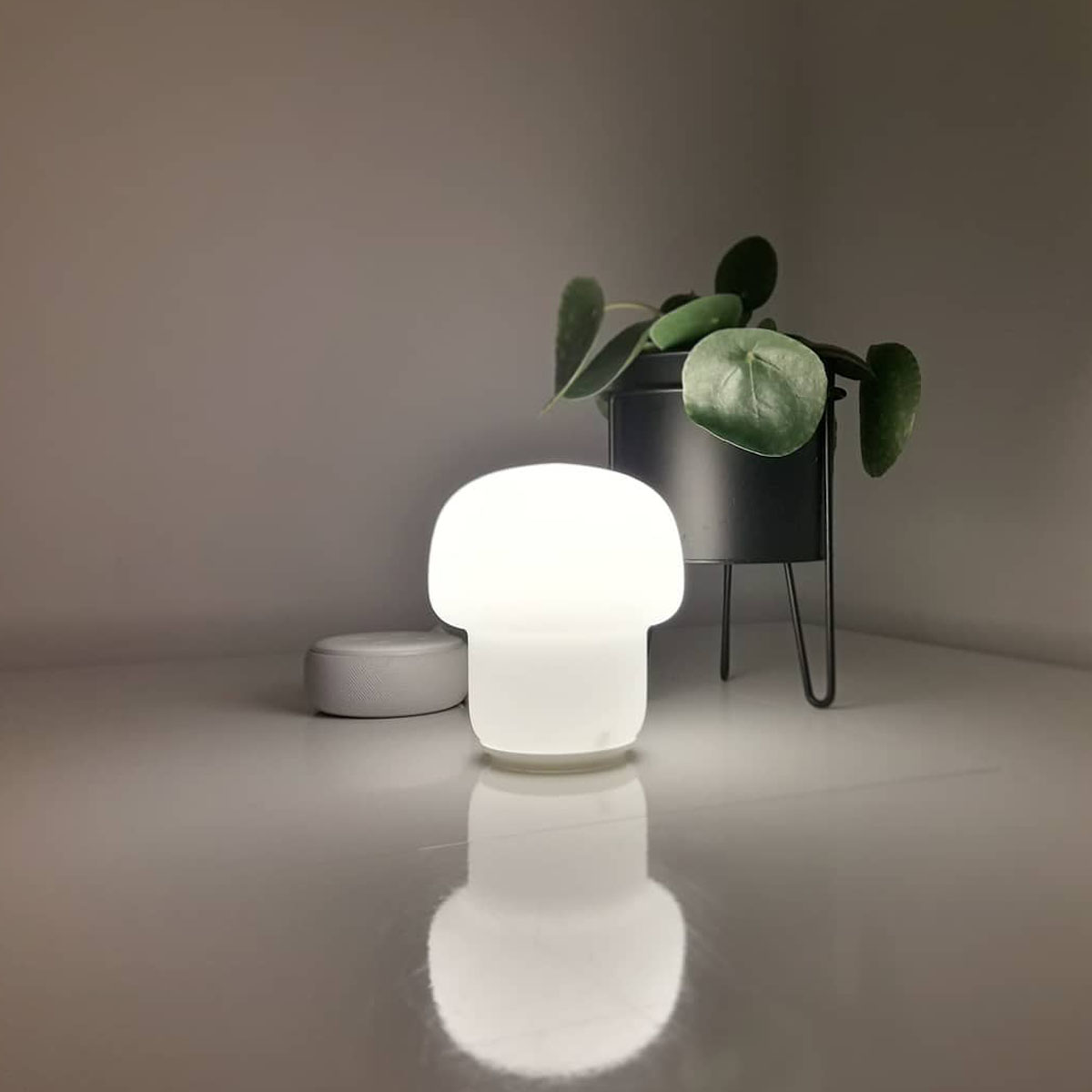 [HCM] ĐÈN NGỦ IKEA CHÍNH HÃNG – TOKABO