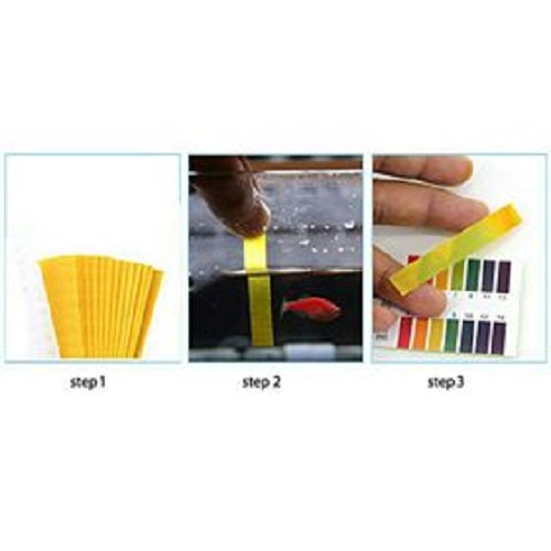 Giấy kiểm tra độ pH cho nước bể cá