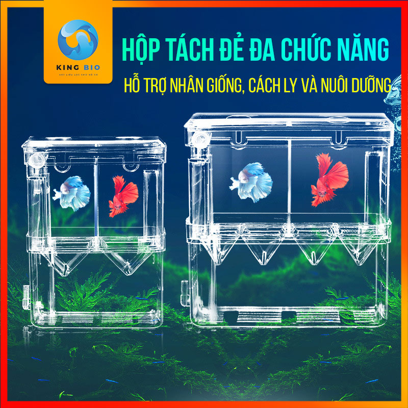 [King Bio] Lồng tách cá đẻ, lồng dưỡng cá, lồng cách ly cá ra riêng