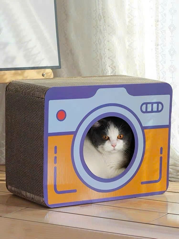 Bàn cào móng bằng giấy cho mèo
