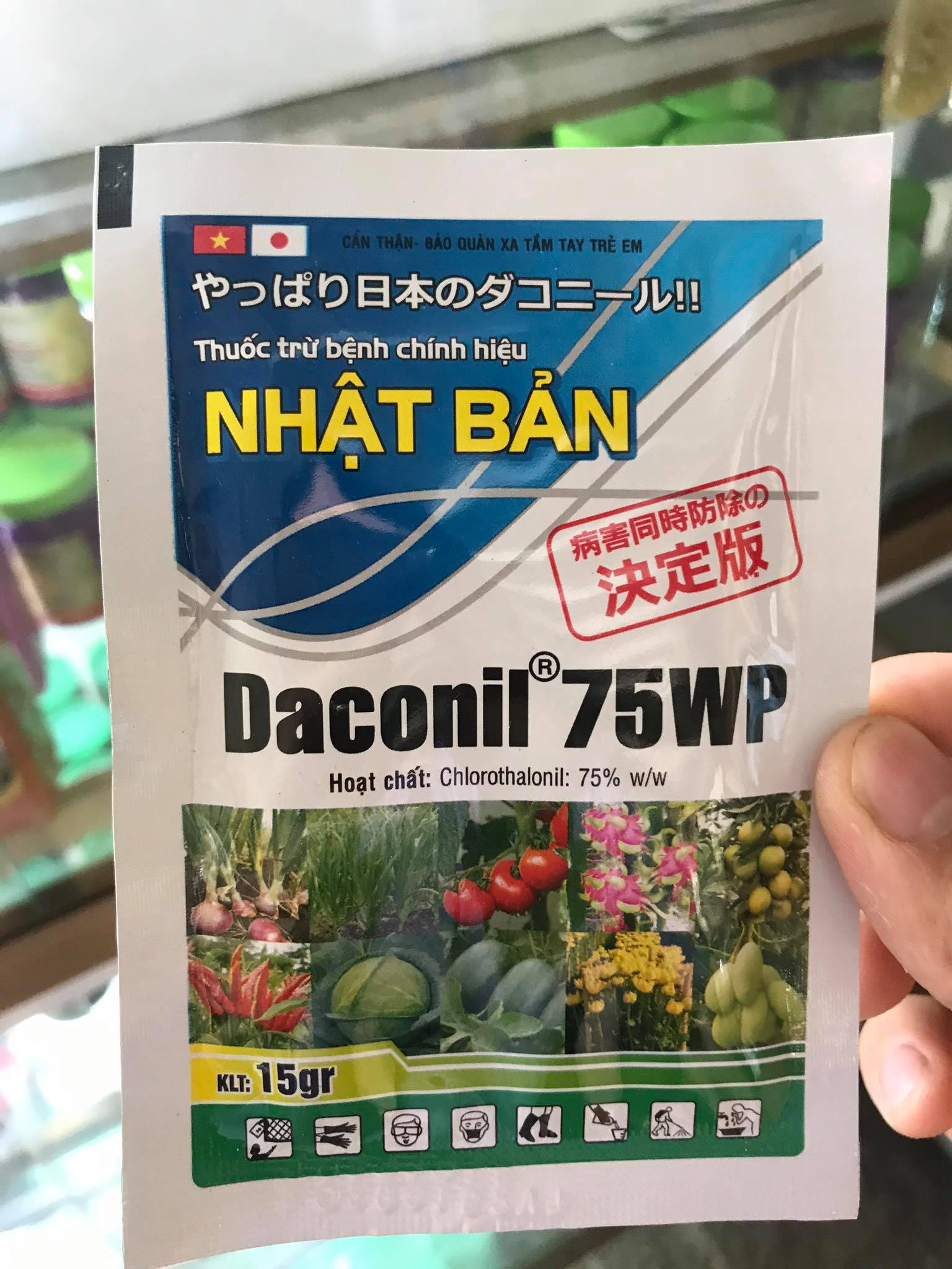 Thuốc trừ bệnh phấn trắng hoa hồng, sương mai, mốc sương Daconil 75wp - Chính hiệu Nhật Bản (15g)