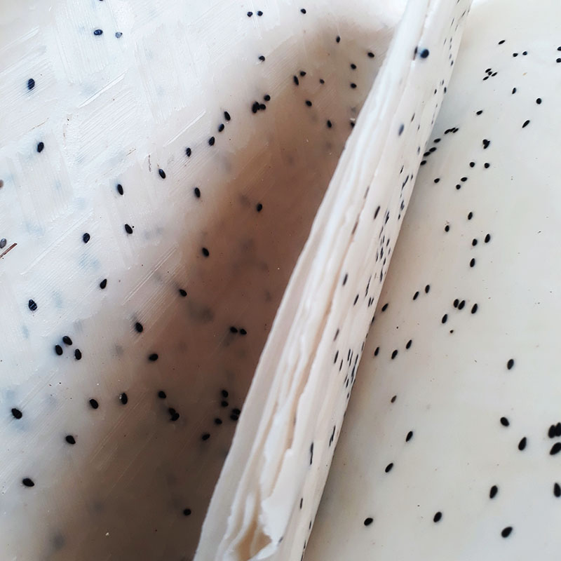 Bánh tráng dừa Bến Tre 30 cái