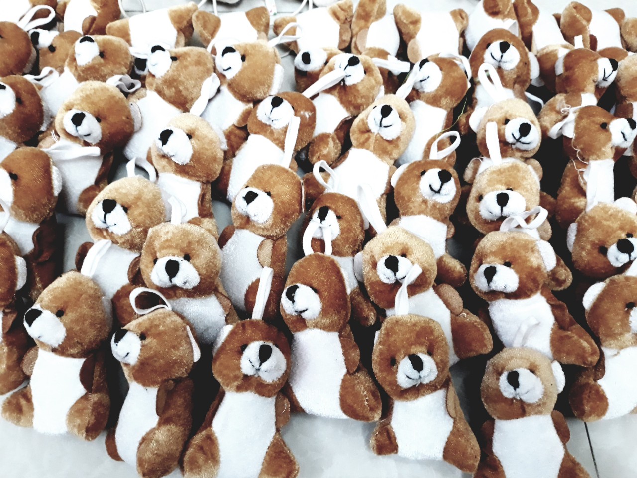 Gấu bông mini 5cm~15cm ngẫu nhiên