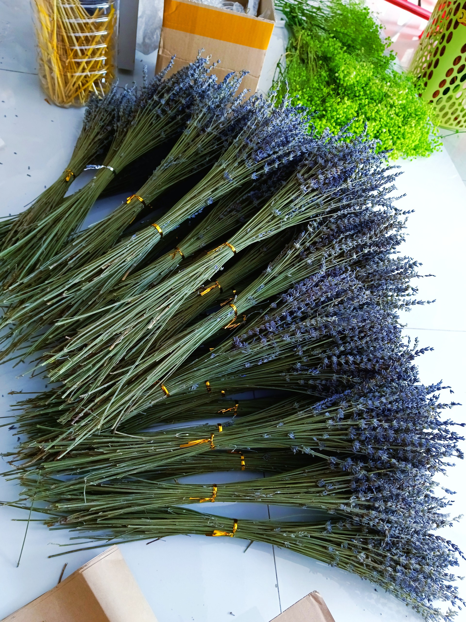 hoa khô - lavender, oải hương thơm ngát