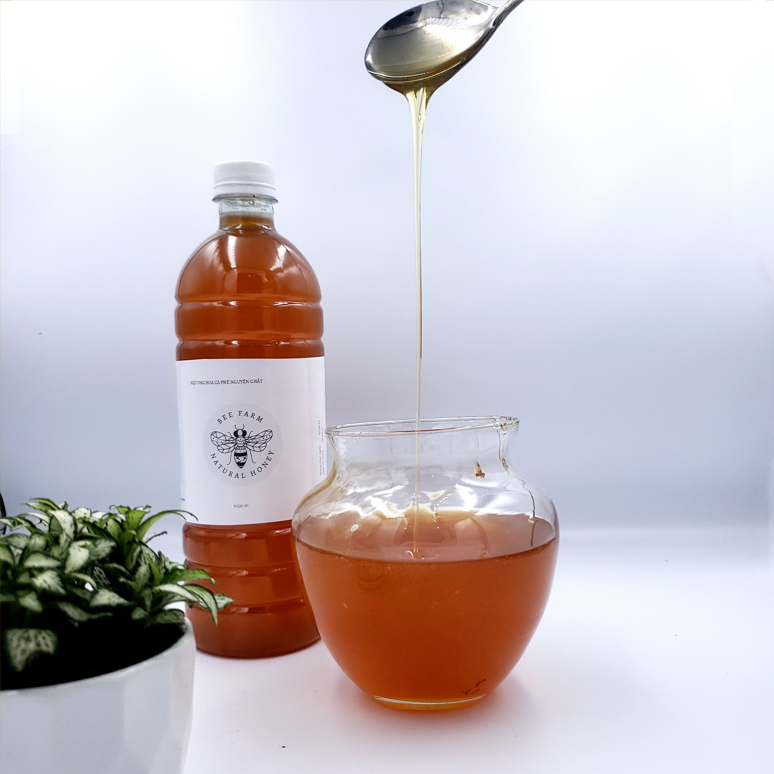 Mật ong hoa cà phê nguyên chất chai 1L