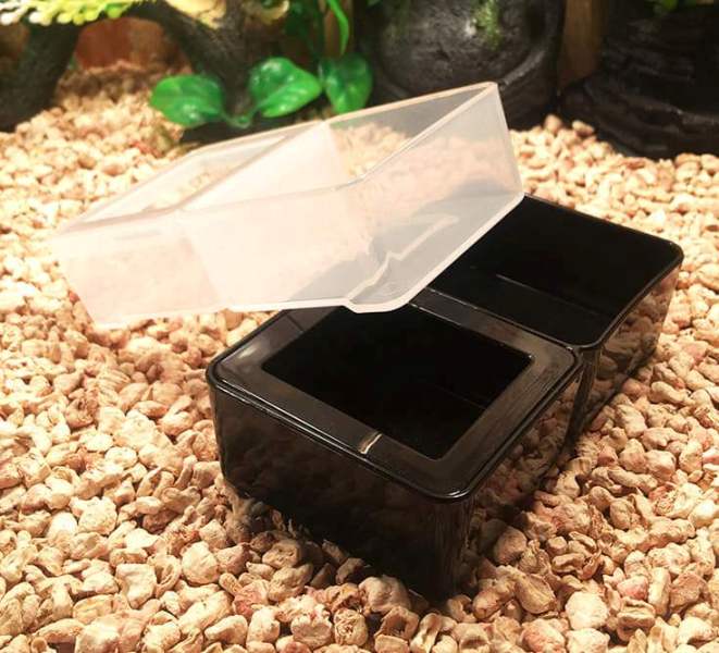 Chén ăn đôi dành cho bò sát nhỏ (pet nhỏ - )