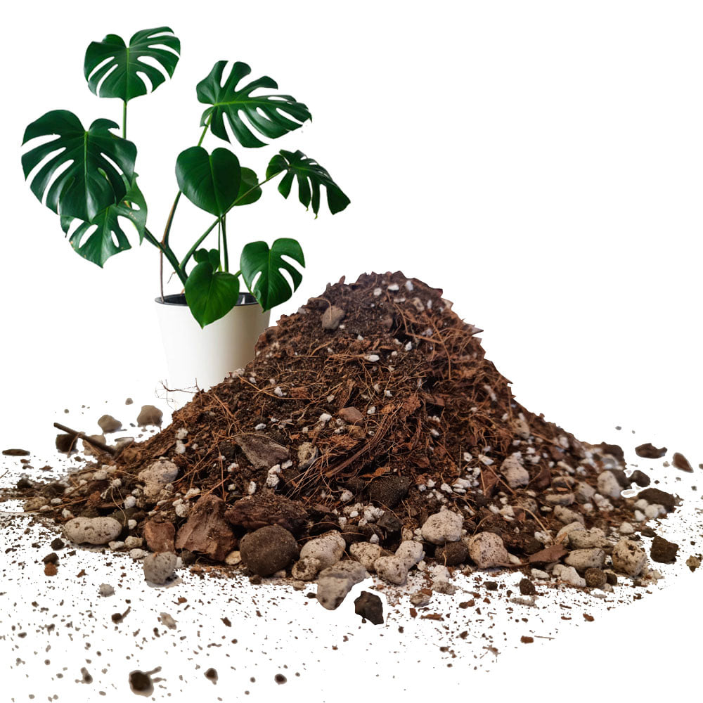Đá bọt PUMICE trồng lan, sen đá, cây cảnh