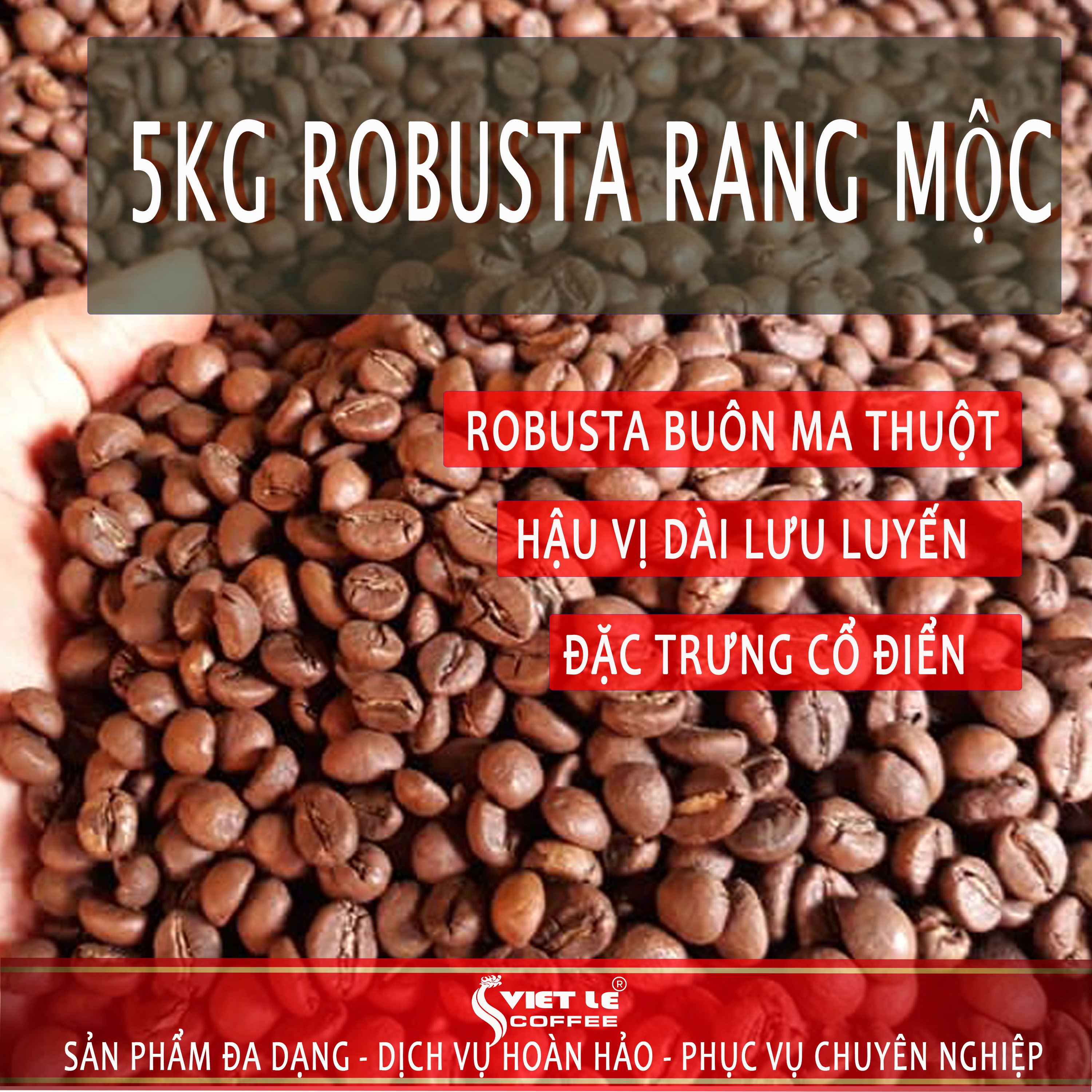 5kg Cà phê Robusta Honey rang mộc VIET LE COFFEE